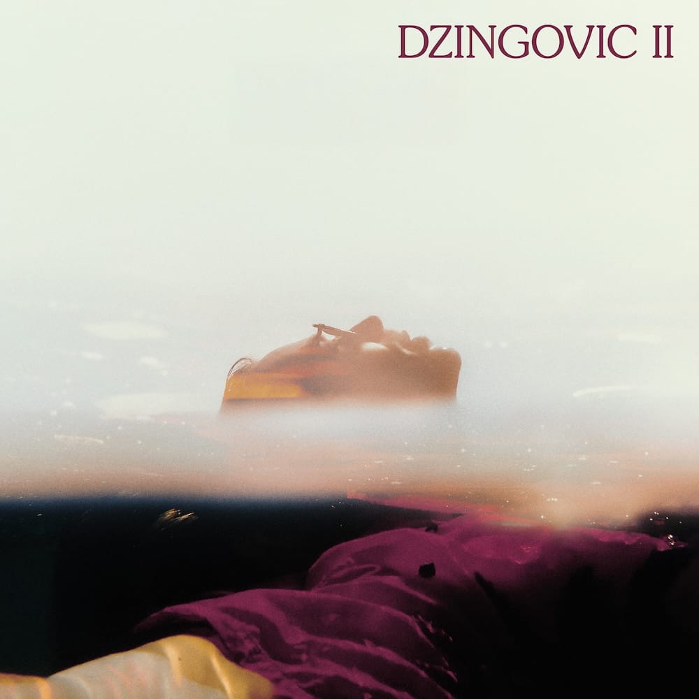 DZINGOVIC II / VINYL